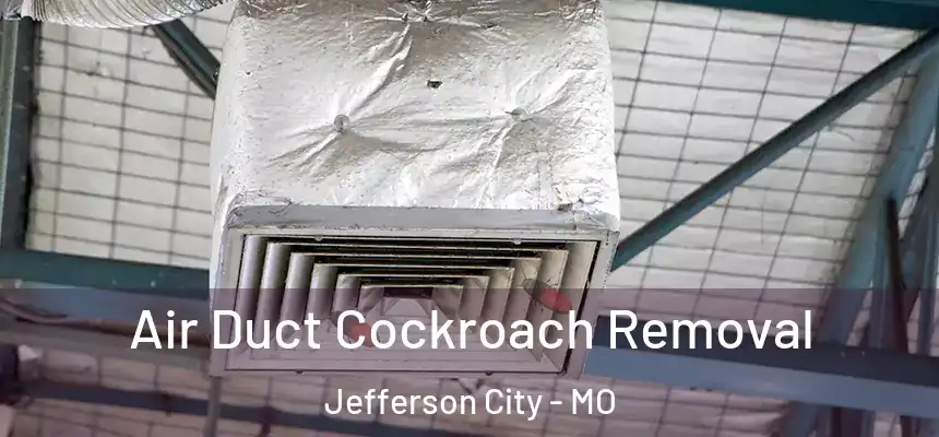 Air Duct Cockroach Removal Jefferson City - MO