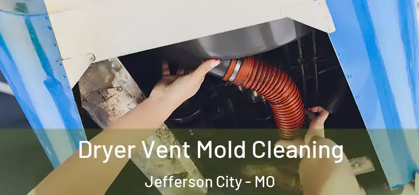 Dryer Vent Mold Cleaning Jefferson City - MO
