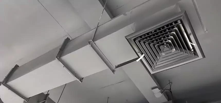 Our Pest Removal From Ducts Services in Jefferson City, MO