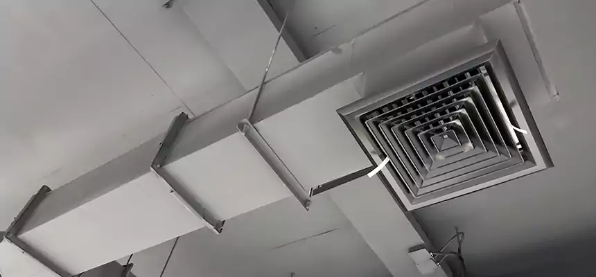 Our Rodent Droppings In Vents Services in Jefferson City, MO