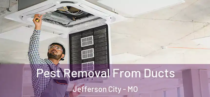 Pest Removal From Ducts Jefferson City - MO