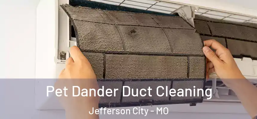  Pet Dander Duct Cleaning Jefferson City - MO