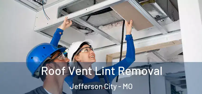  Roof Vent Lint Removal Jefferson City - MO