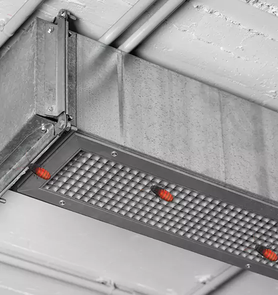 About Air Duct Cockroach Removal in Jefferson City, MO