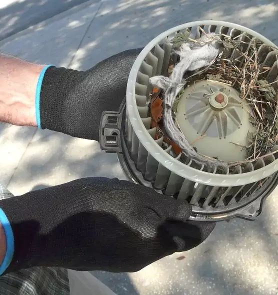 About Air Duct Mice Removal in Jefferson City, MO