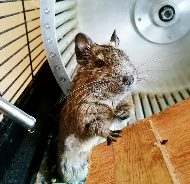 Why Homeowners & Businesses Trust Us Jefferson City, MO