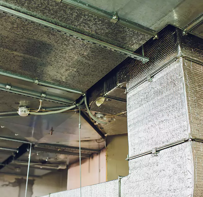 Why Homeowners & Businesses Trust Us in Jefferson City, MO?